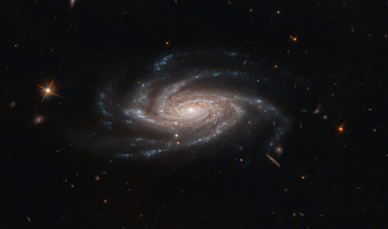 Spiral Galaxy NGC 2008